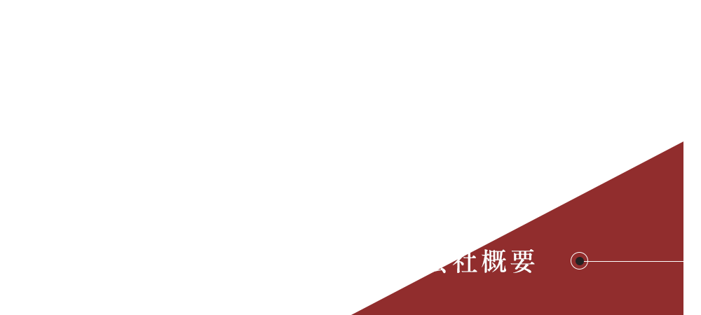 bnrhalf_company