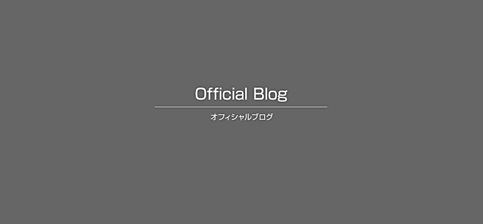 Tアパート新築工事（板金・樋）